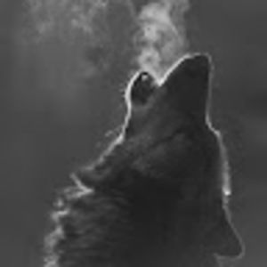 Meet your Posher, Alexa